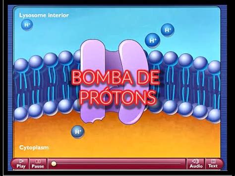 bomba de protons